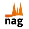 Logo nagsteuer.de